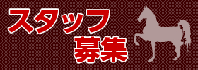 スタッフ募集