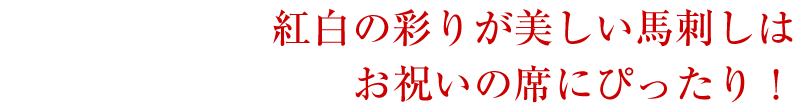 紅白の彩りが美しい馬刺しはお祝いの席にぴったり！