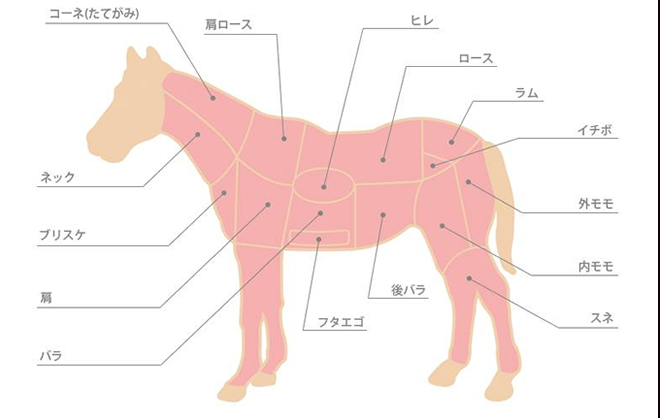 馬肉 馬刺しの部位を知る