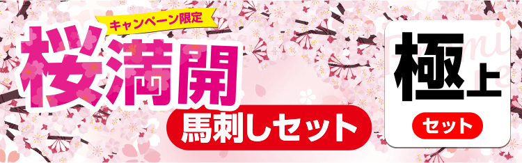 桜満開馬刺しセット【極上】