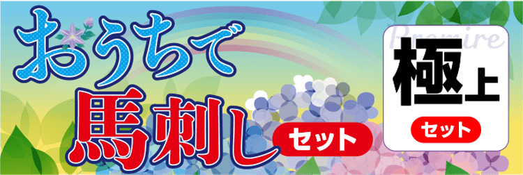 おうちで馬刺しセット【極上】