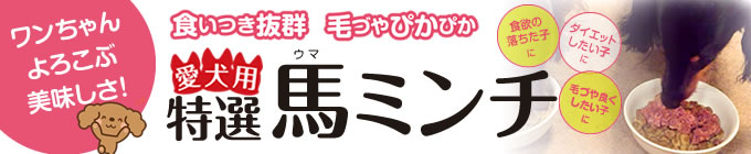 ワンちゃんよろこぶ美味しさ！食いつき抜群！毛づやぴかぴか！愛犬用特選馬ミンチ（食欲の落ちた子に｜ダイエットしたい子に｜毛づや良くしたい子に）