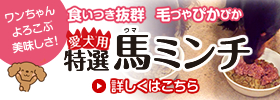 ワンちゃんよろこぶ美味しさ！食いつき抜群！毛づやぴかぴか！愛犬用特選馬ミンチ（食欲の落ちた子に｜ダイエットしたい子に｜毛づや良くしたい子に）