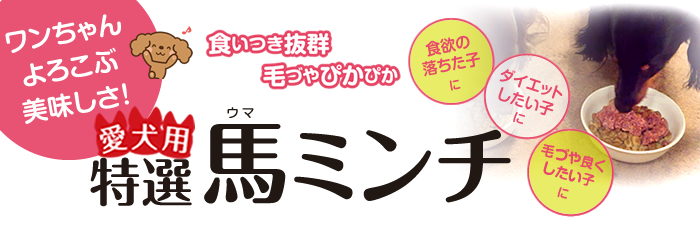 ワンちゃんよろこぶ美味しさ！食いつき抜群！毛づやぴかぴか！愛犬用特選馬ミンチ（食欲の落ちた子に｜ダイエットしたい子に｜毛づや良くしたい子に）
