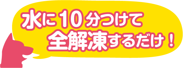 水に10分つけて全解凍するだけ！