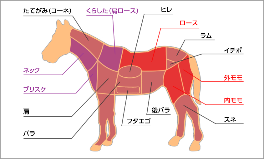 馬刺し どこ の 部位